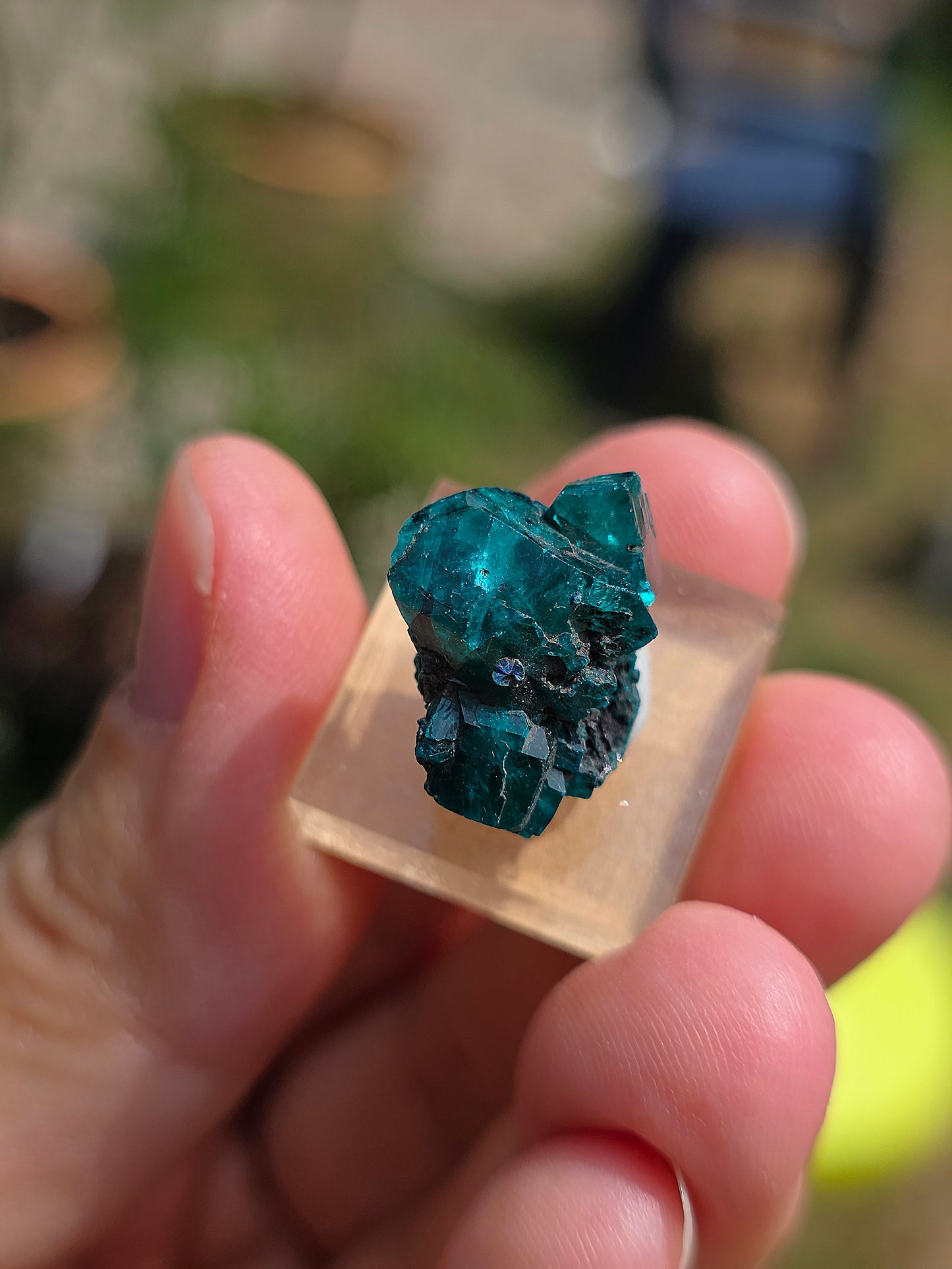 Joli Dioptase brut du Congo 