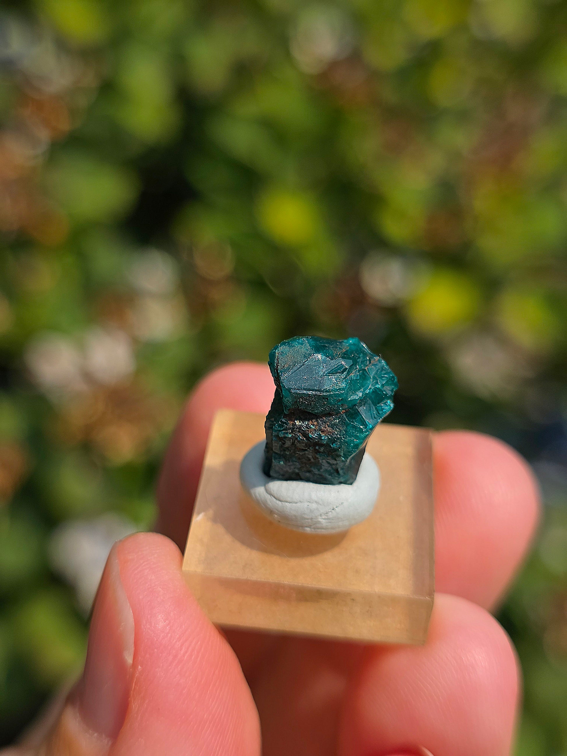 Joli Dioptase brut du Congo 