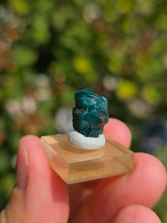 Joli Dioptase brut du Congo 