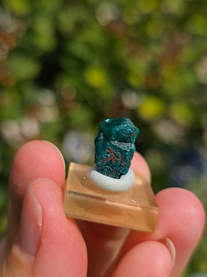 Joli Dioptase brut du Congo 