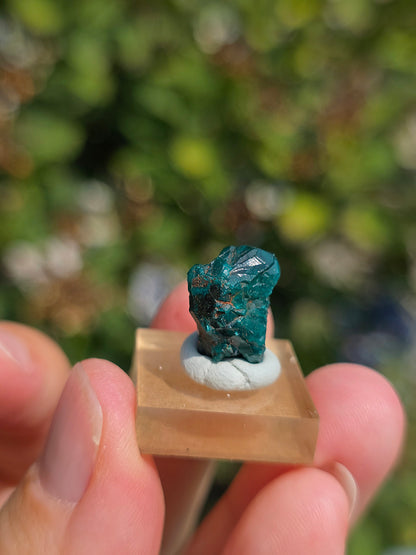 Joli Dioptase brut du Congo 