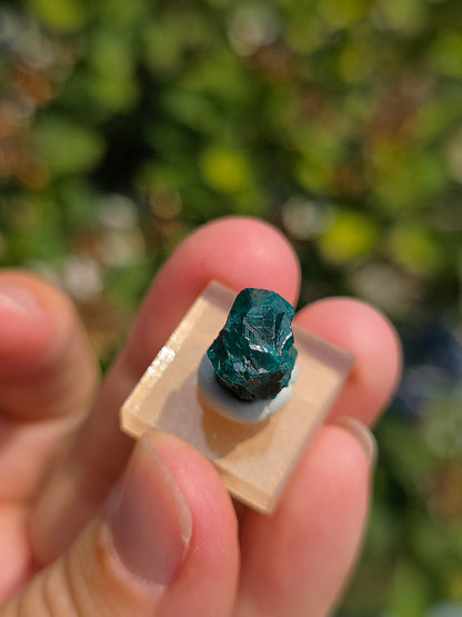 Joli Dioptase brut du Congo 