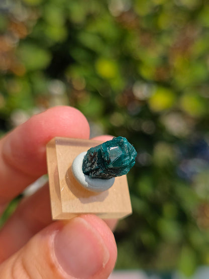 Joli Dioptase brut du Congo 