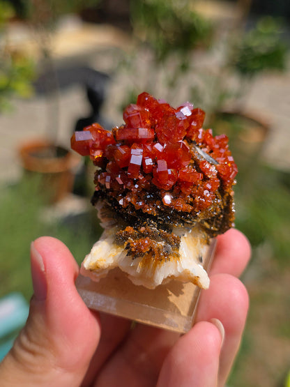 Vanadinite et Goethite sur Baryte