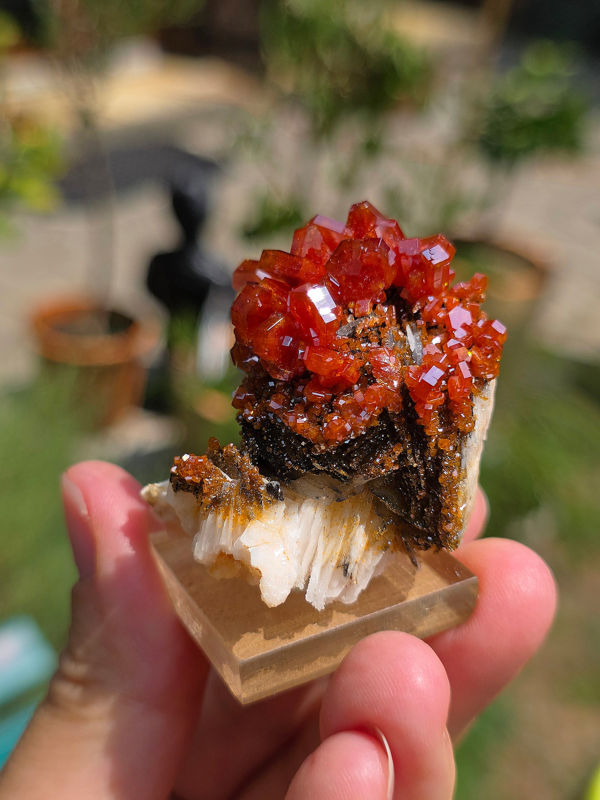 Vanadinite et Goethite sur Baryte du Maroc