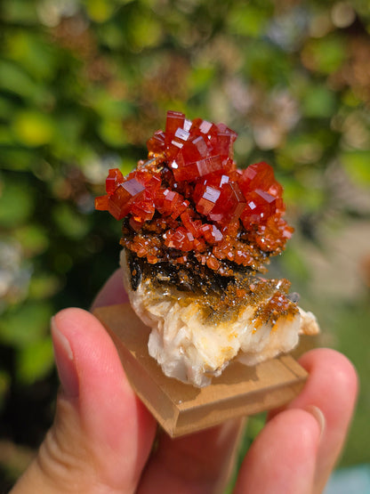 Vanadinite et Goethite sur Baryte sur socle
