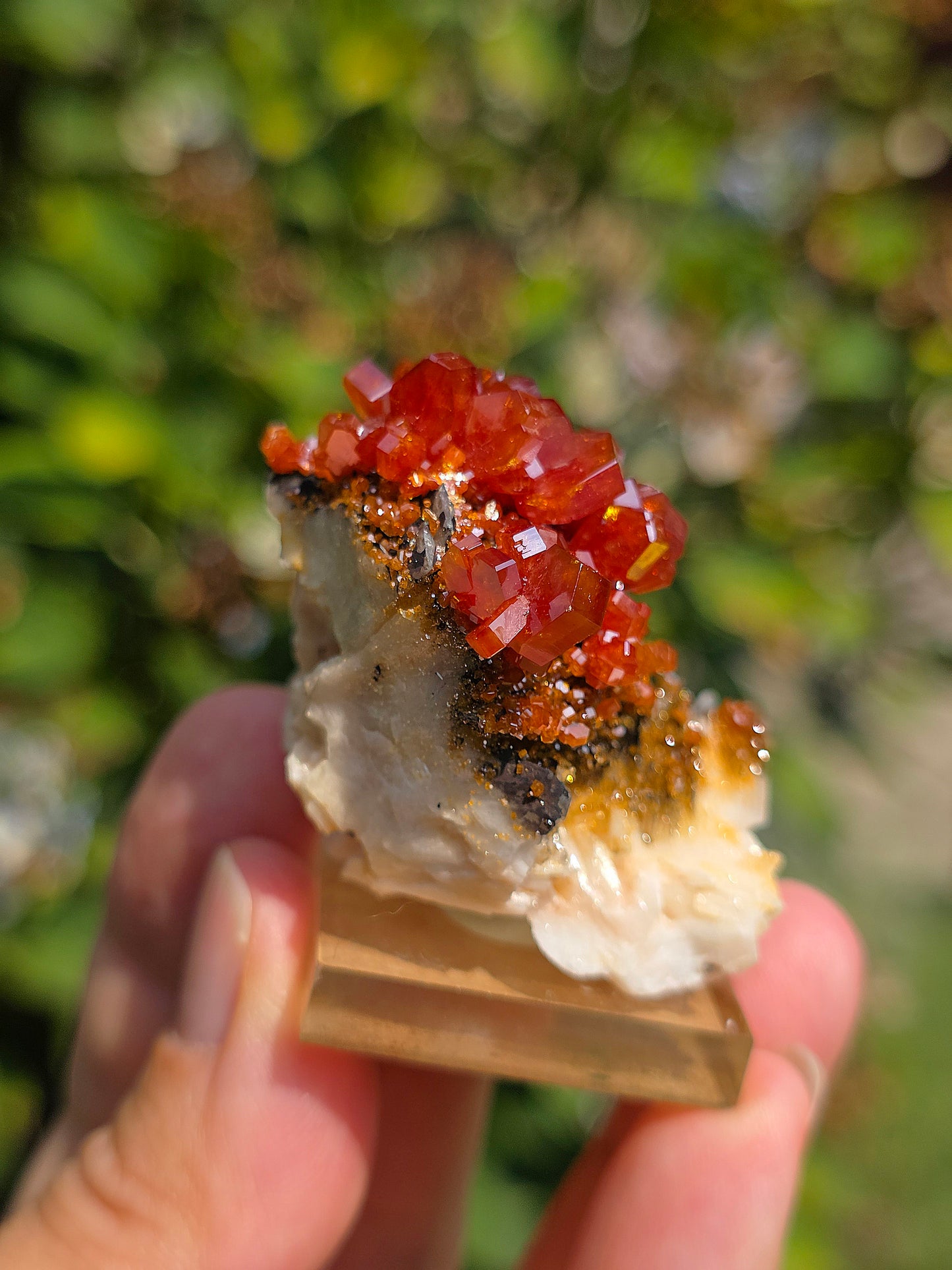 Vanadinite et Goethite sur Barytine