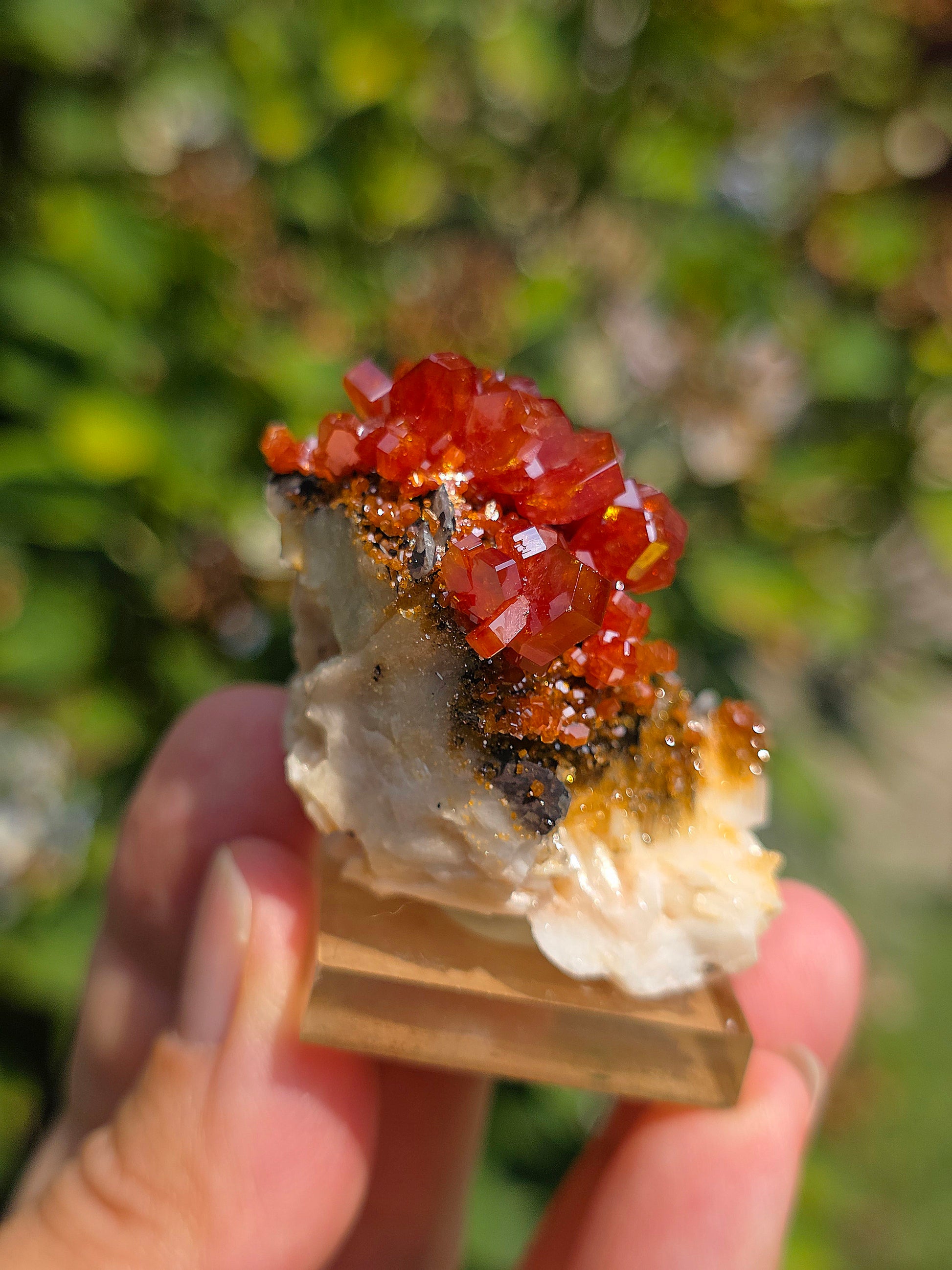 Vanadinite et Goethite sur Barytine