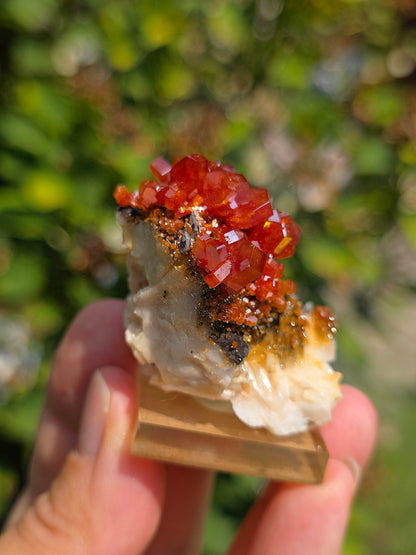 Vanadinite et Goethite sur Barytine