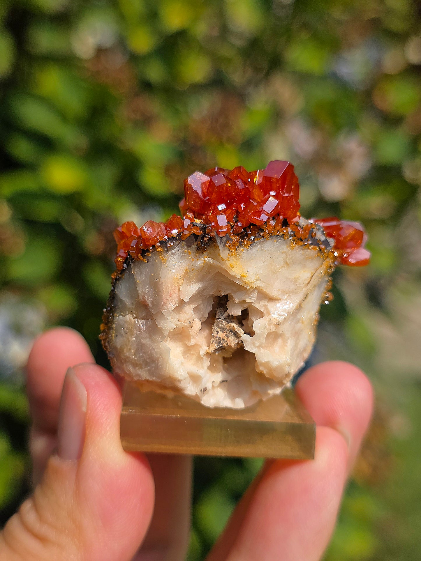 Vanadinite et Goethite sur Baryte