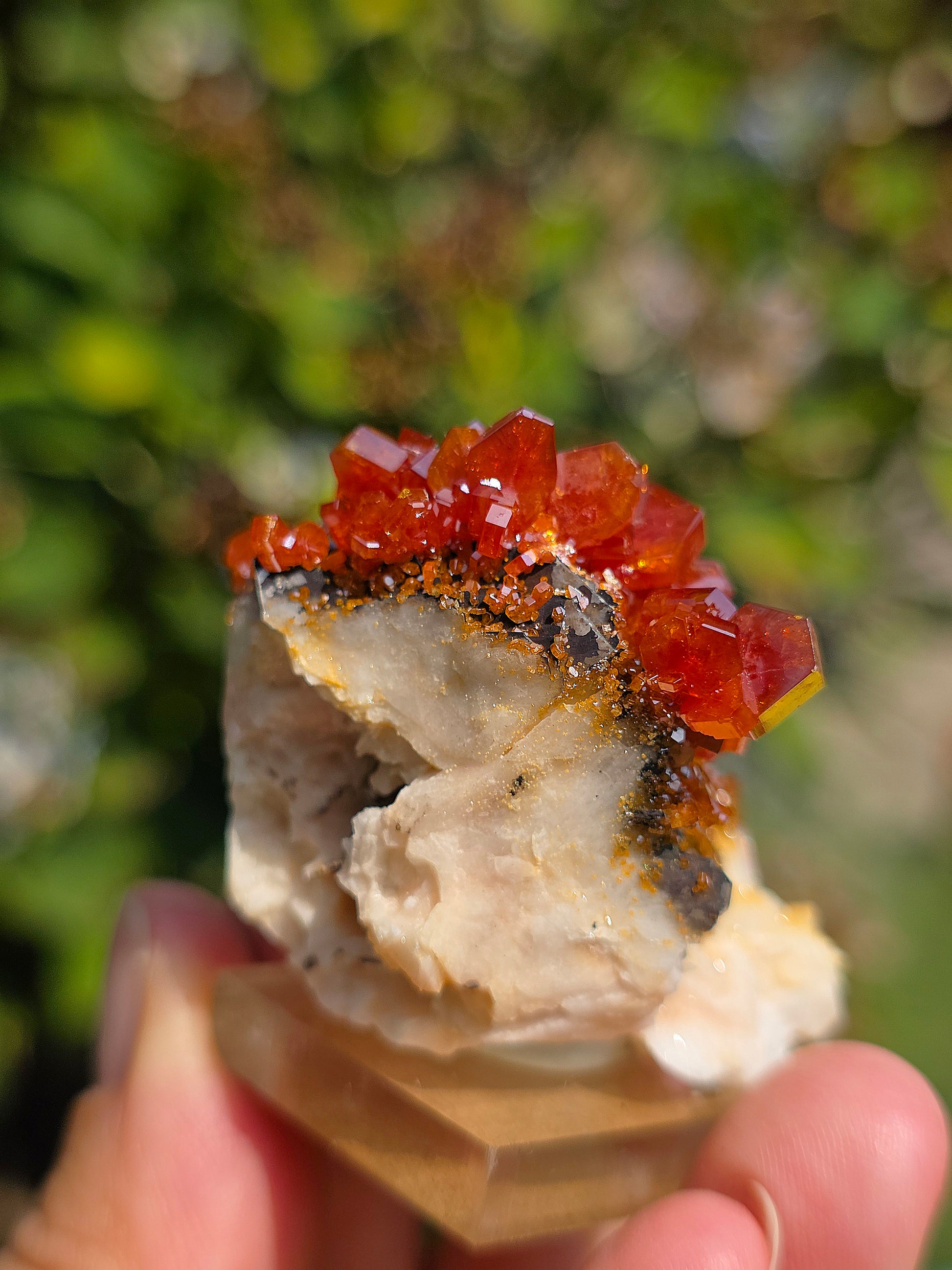 Vanadinite et Goethite sur Baryte