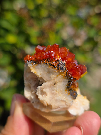 Vanadinite et Goethite sur Baryte