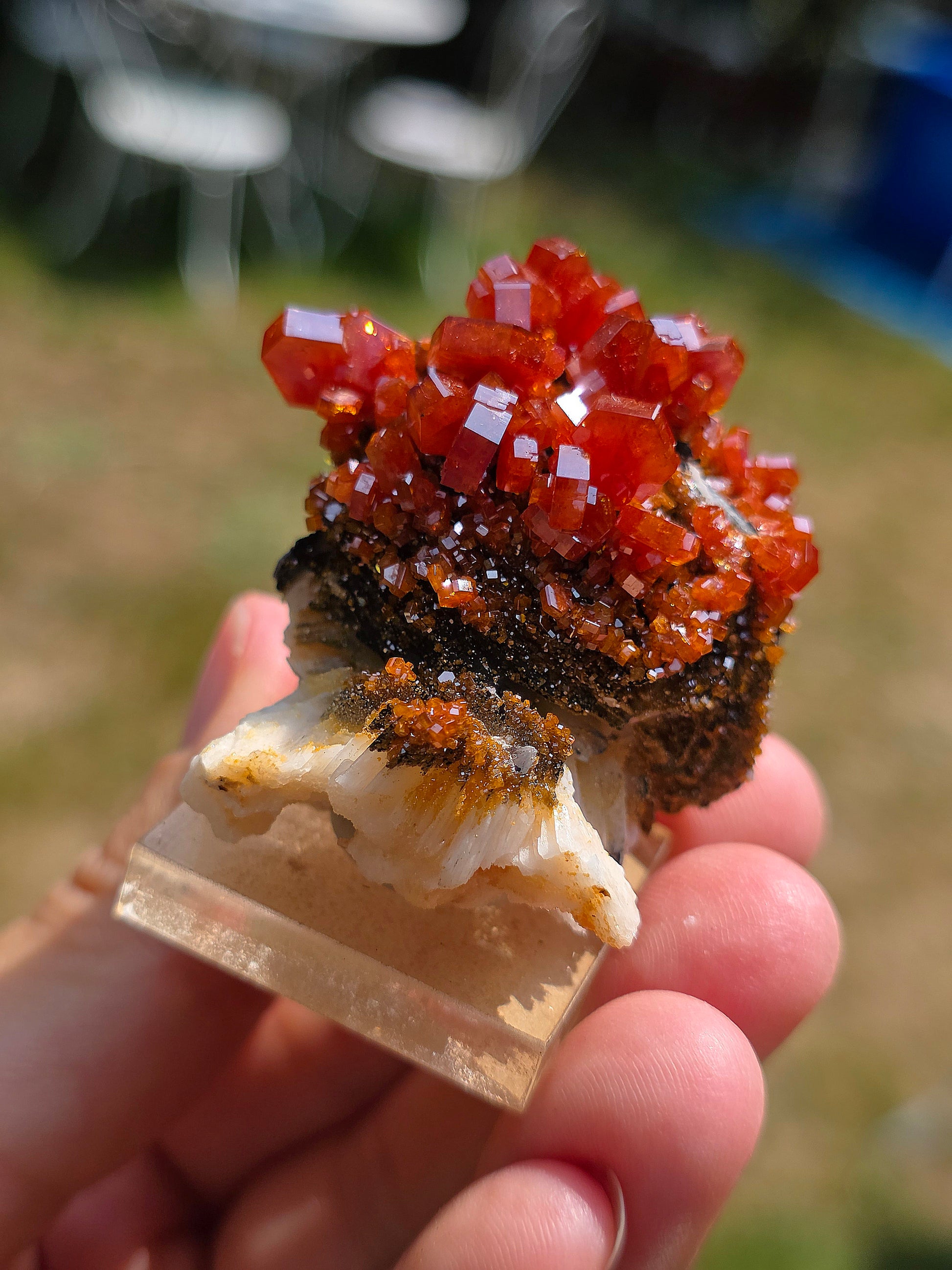 Vanadinite et Goethite sur Baryte