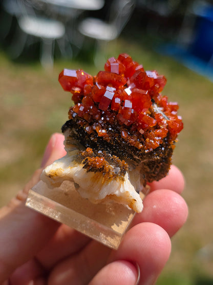 Vanadinite et Goethite sur Baryte
