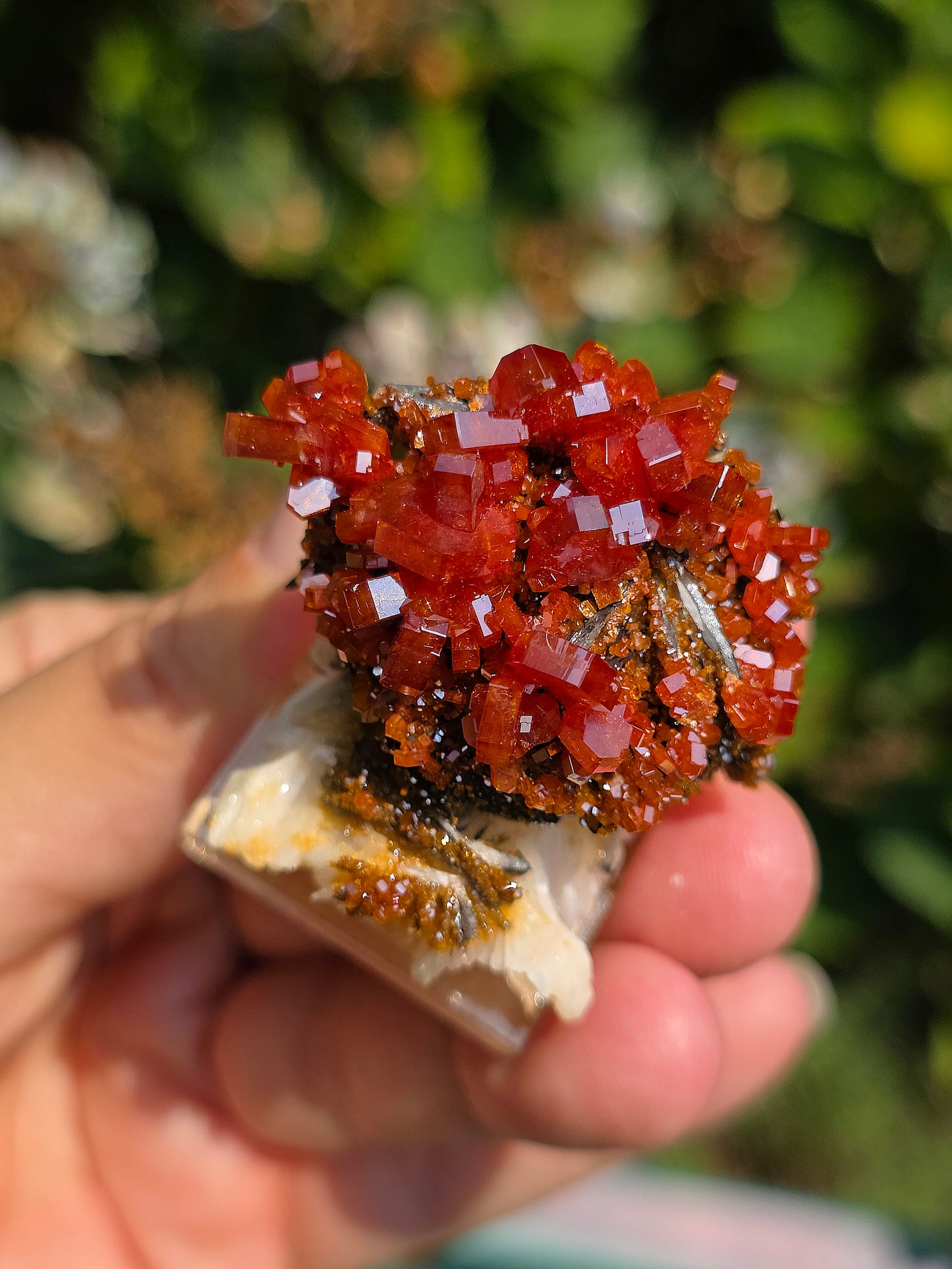Vanadinite et Goethite sur Baryte