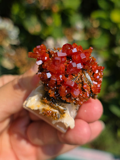 Vanadinite et Goethite sur Baryte
