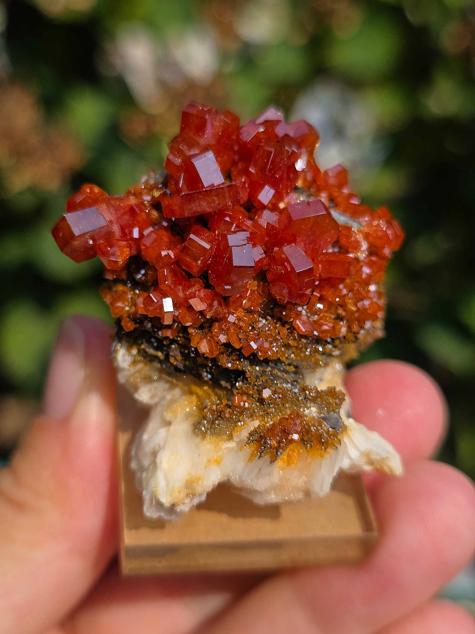 Vanadinite et Goethite sur Baryte