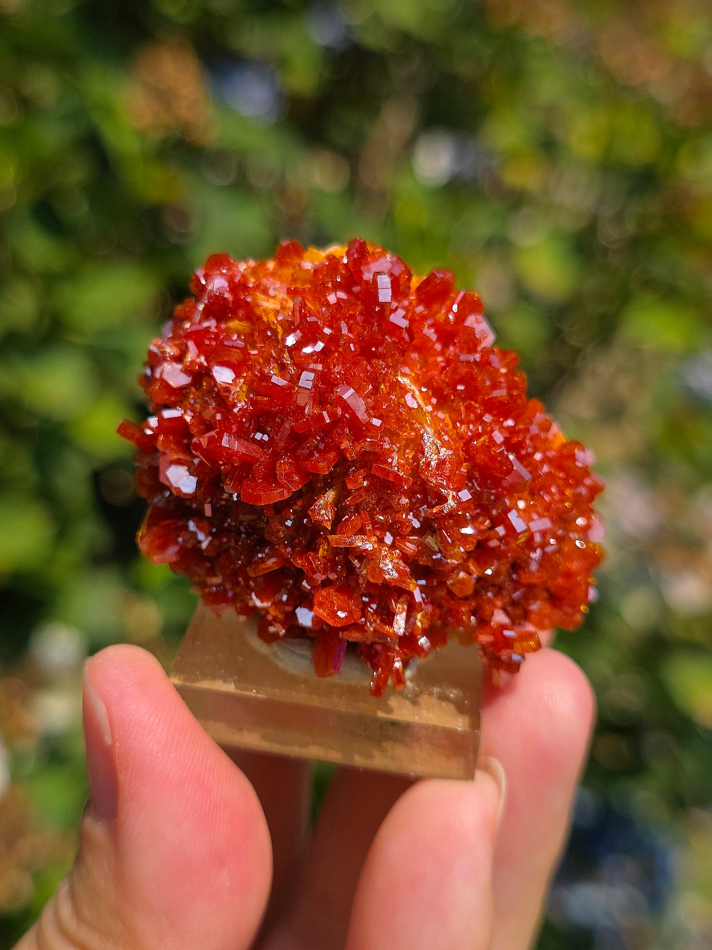 Vanadinite du Maroc sur Baryte