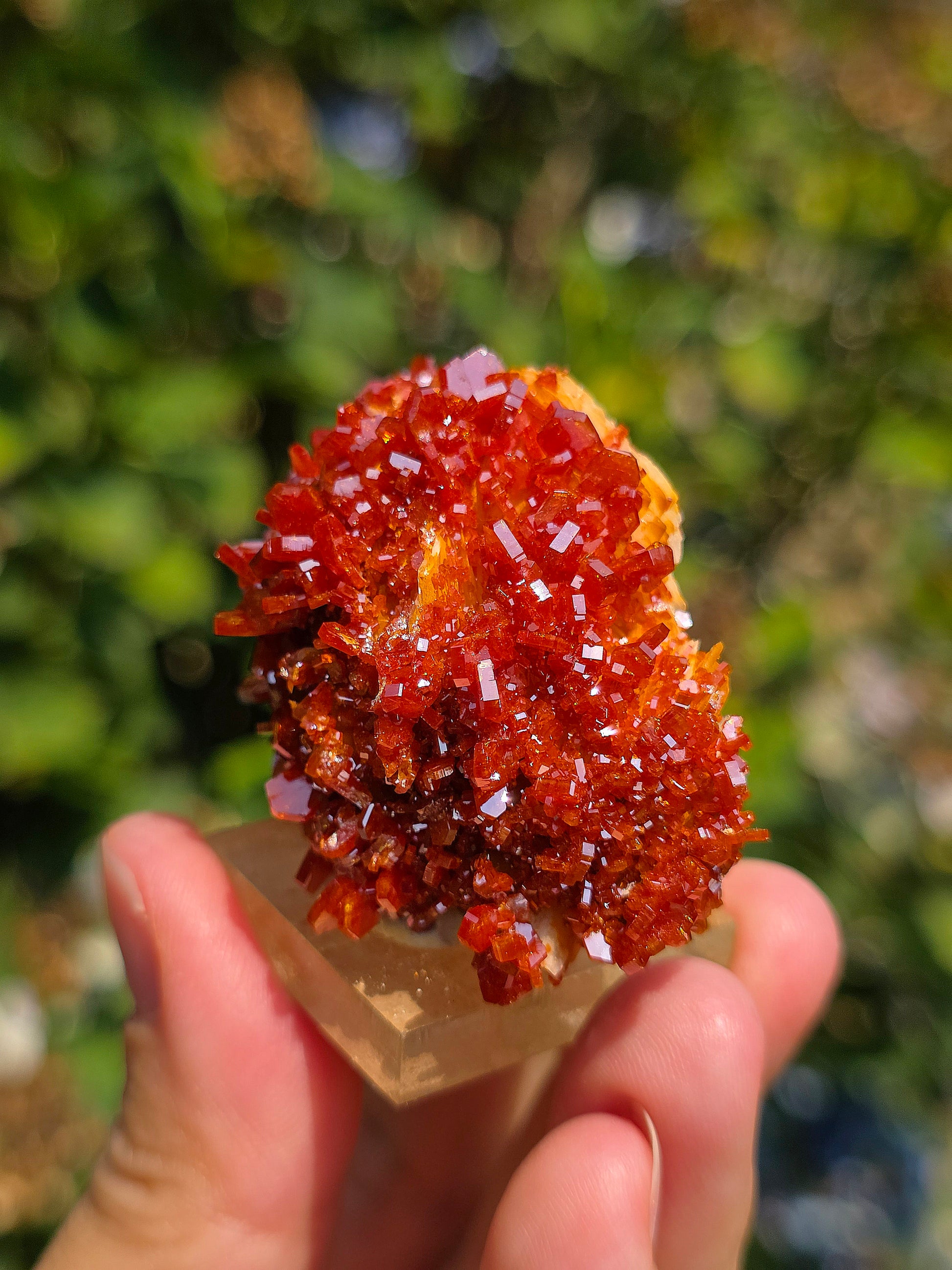 Vanadinite du Maroc sur Baryte