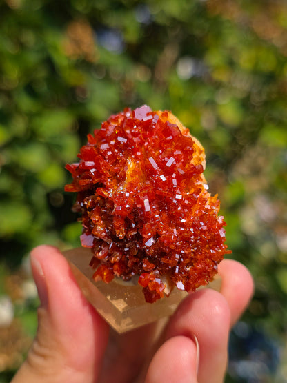 Vanadinite du Maroc sur Baryte