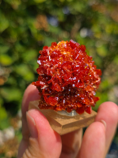 Vanadinite du Maroc sur Baryte