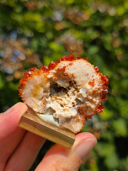 Vanadinite du Maroc sur Baryte