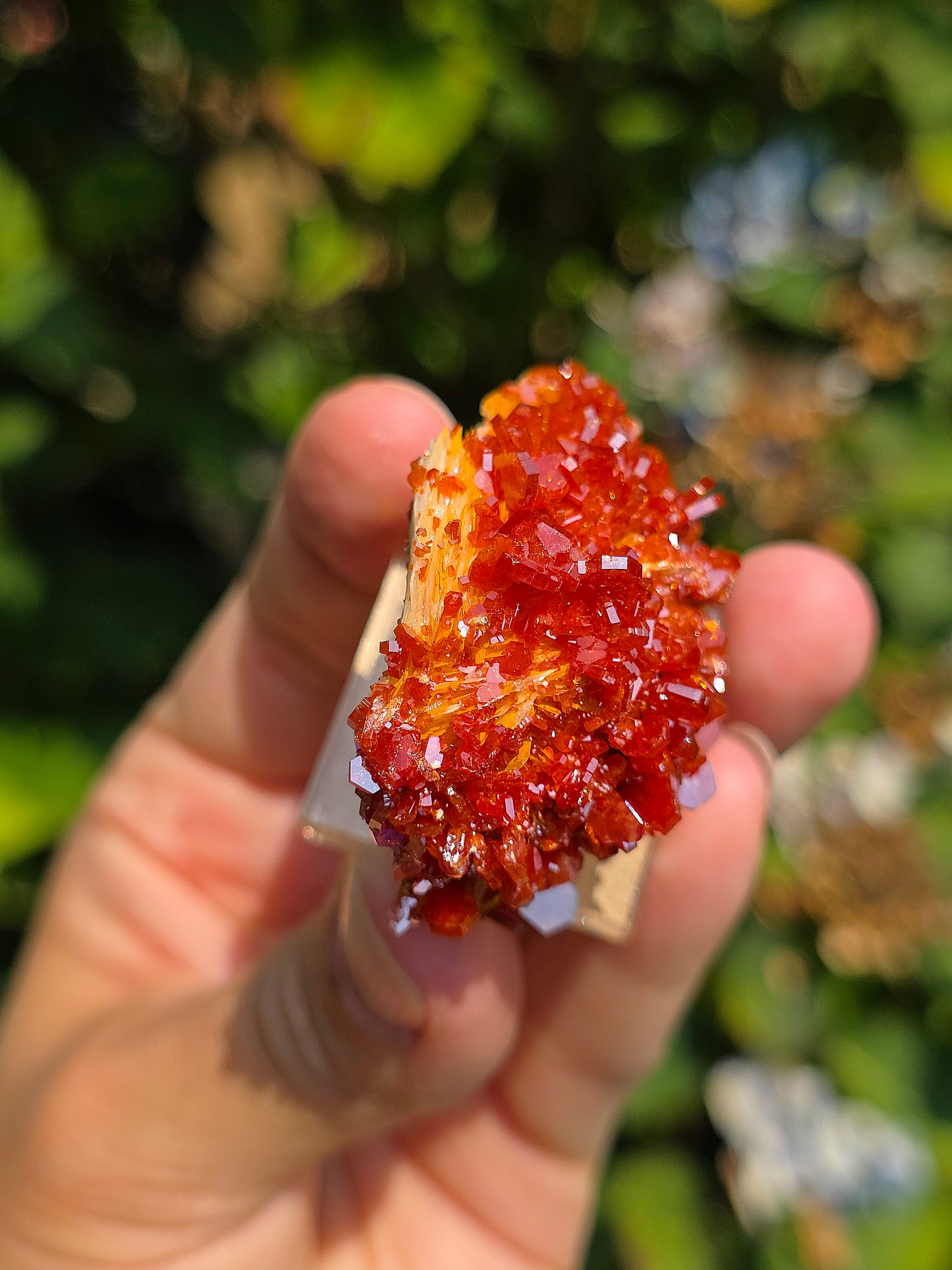 Vanadinite du Maroc sur Baryte