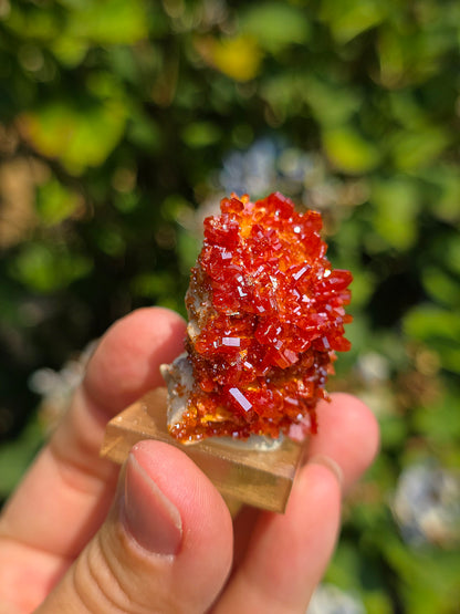 Vanadinite du Maroc sur Baryte
