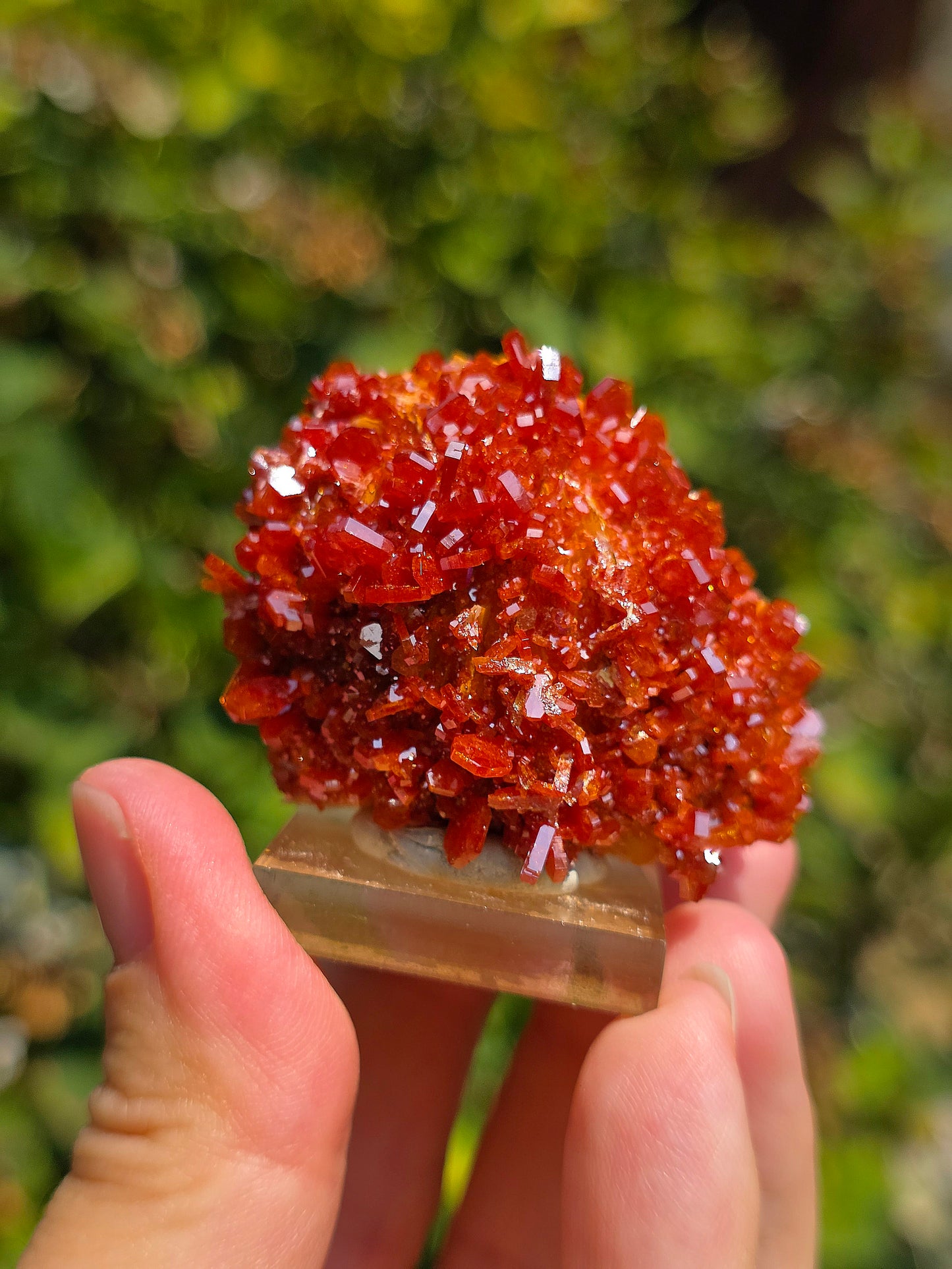 Vanadinite du Maroc sur Baryte