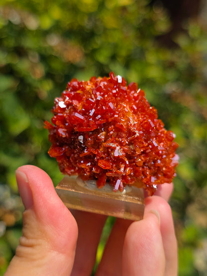 Vanadinite du Maroc sur Baryte
