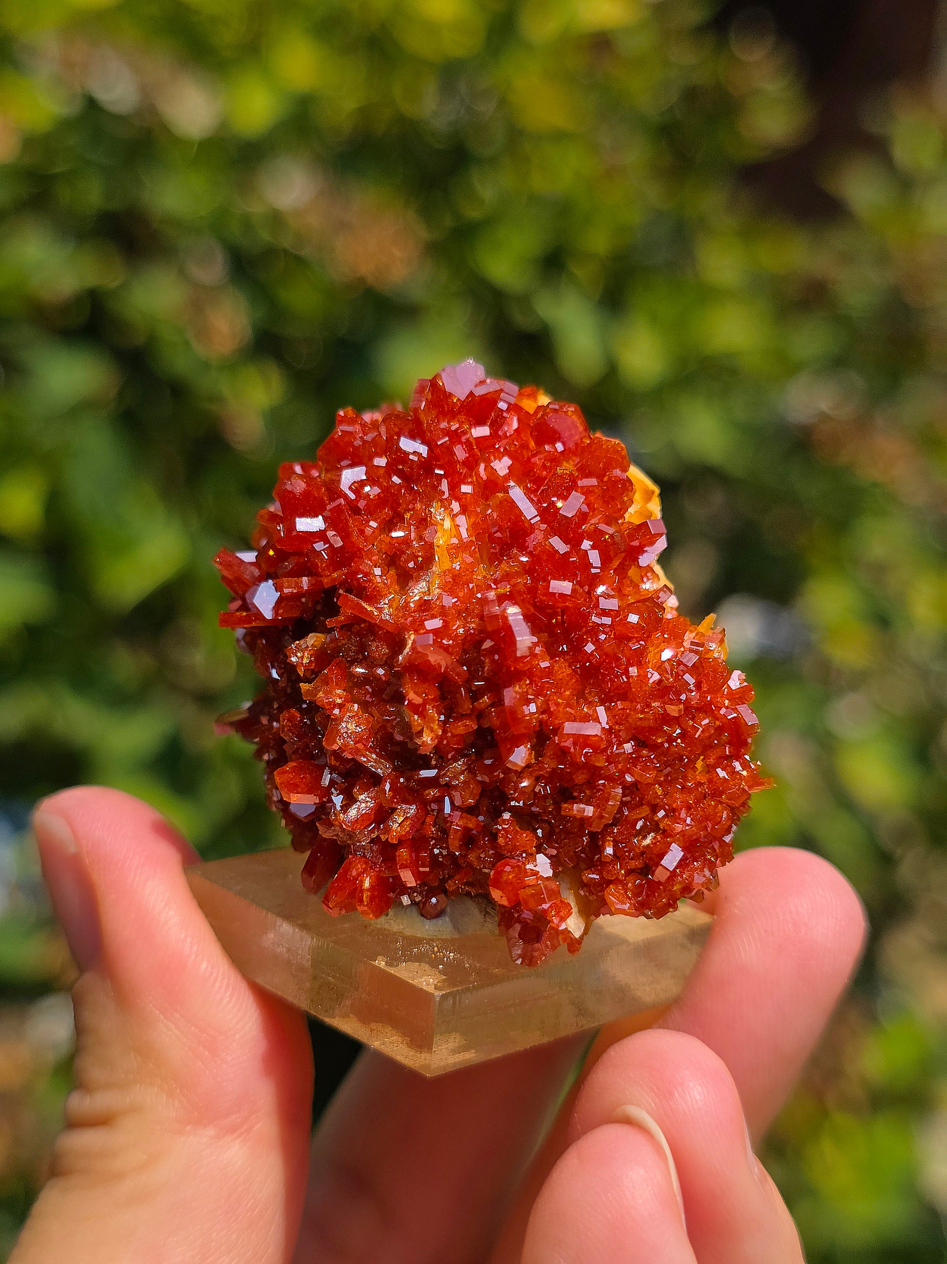 Vanadinite du Maroc sur Baryte