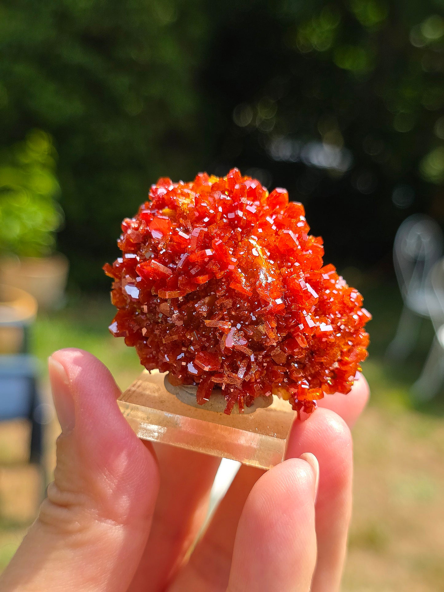Vanadinite du Maroc sur Baryte
