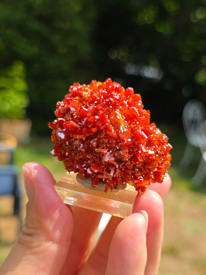 Vanadinite du Maroc sur Baryte