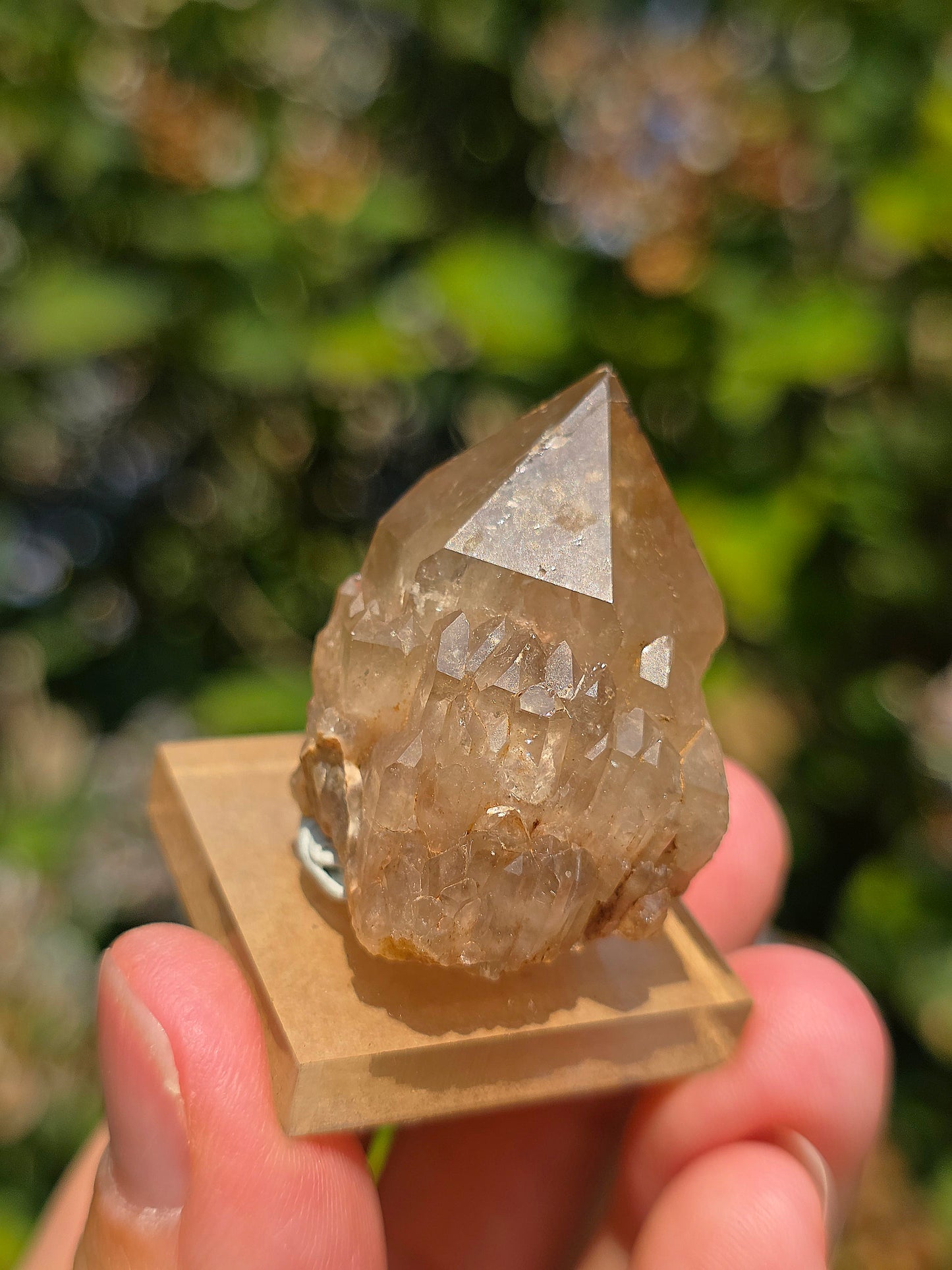 Kundalini Citrine naturelle brute