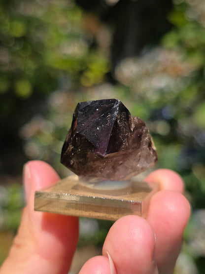 Quartz Shangaan brut sur socle