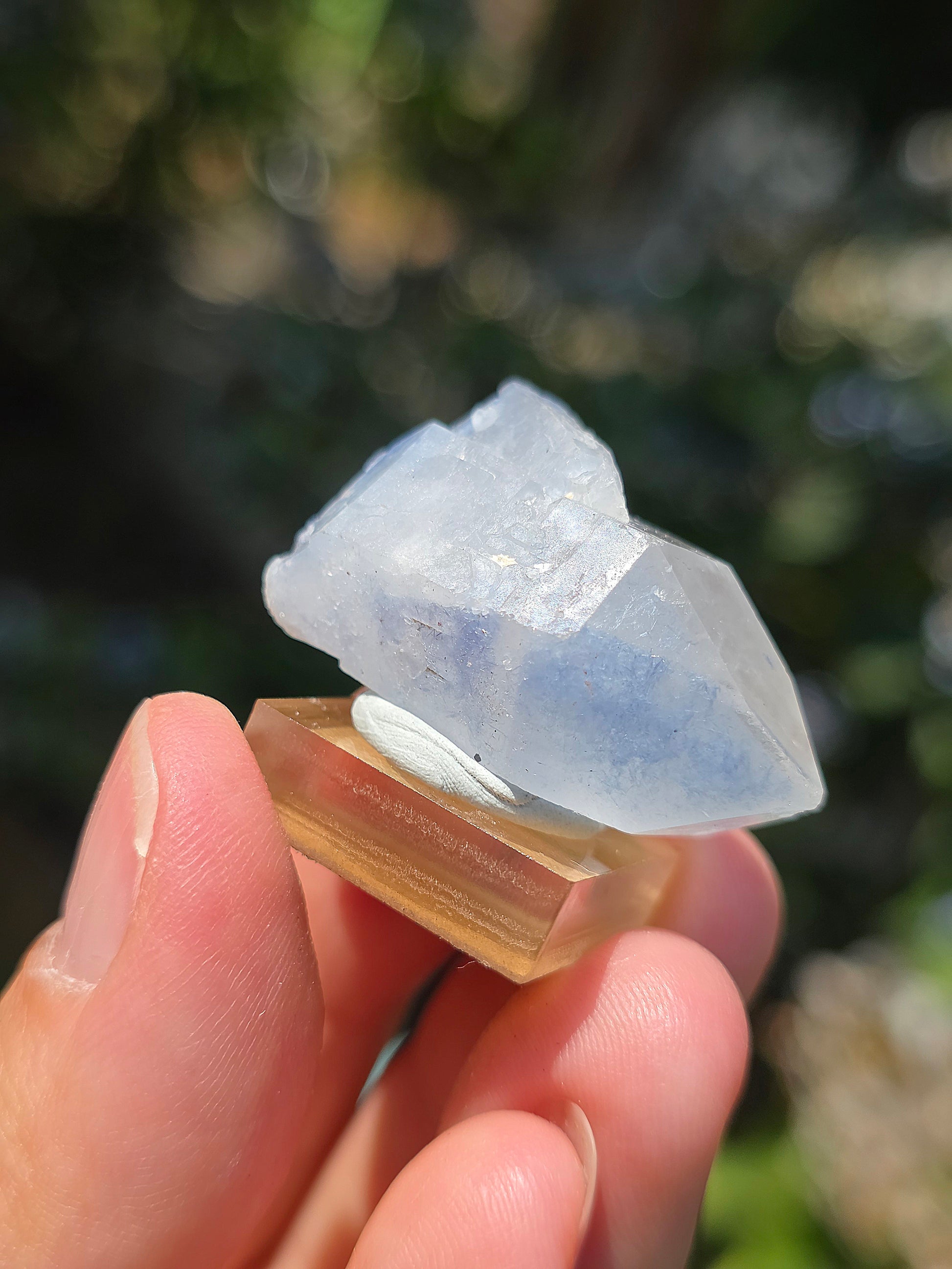 Quartz avec inclusions de Dumortiérite brut