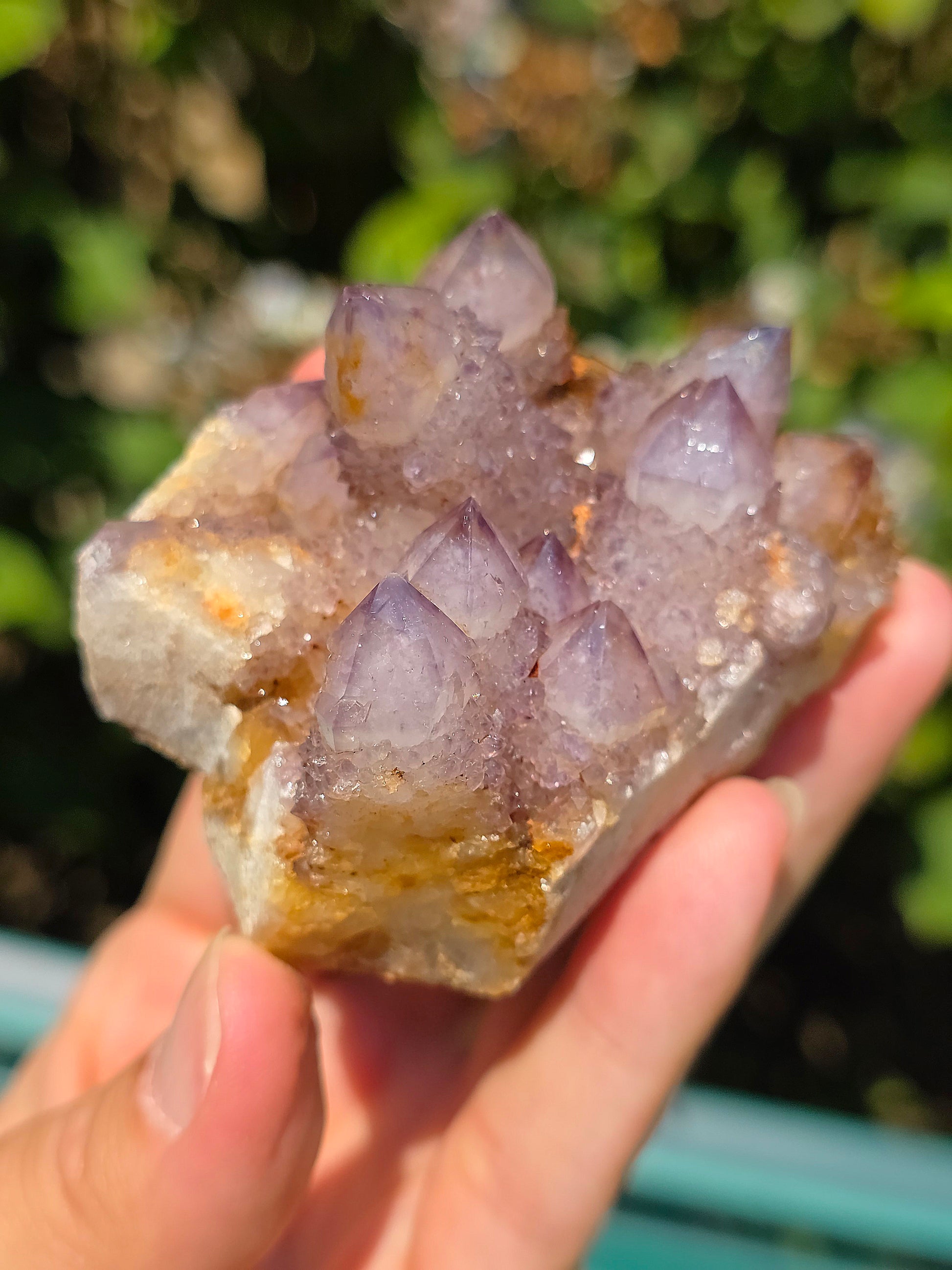 Quartz Cactus d'Afrique du Sud