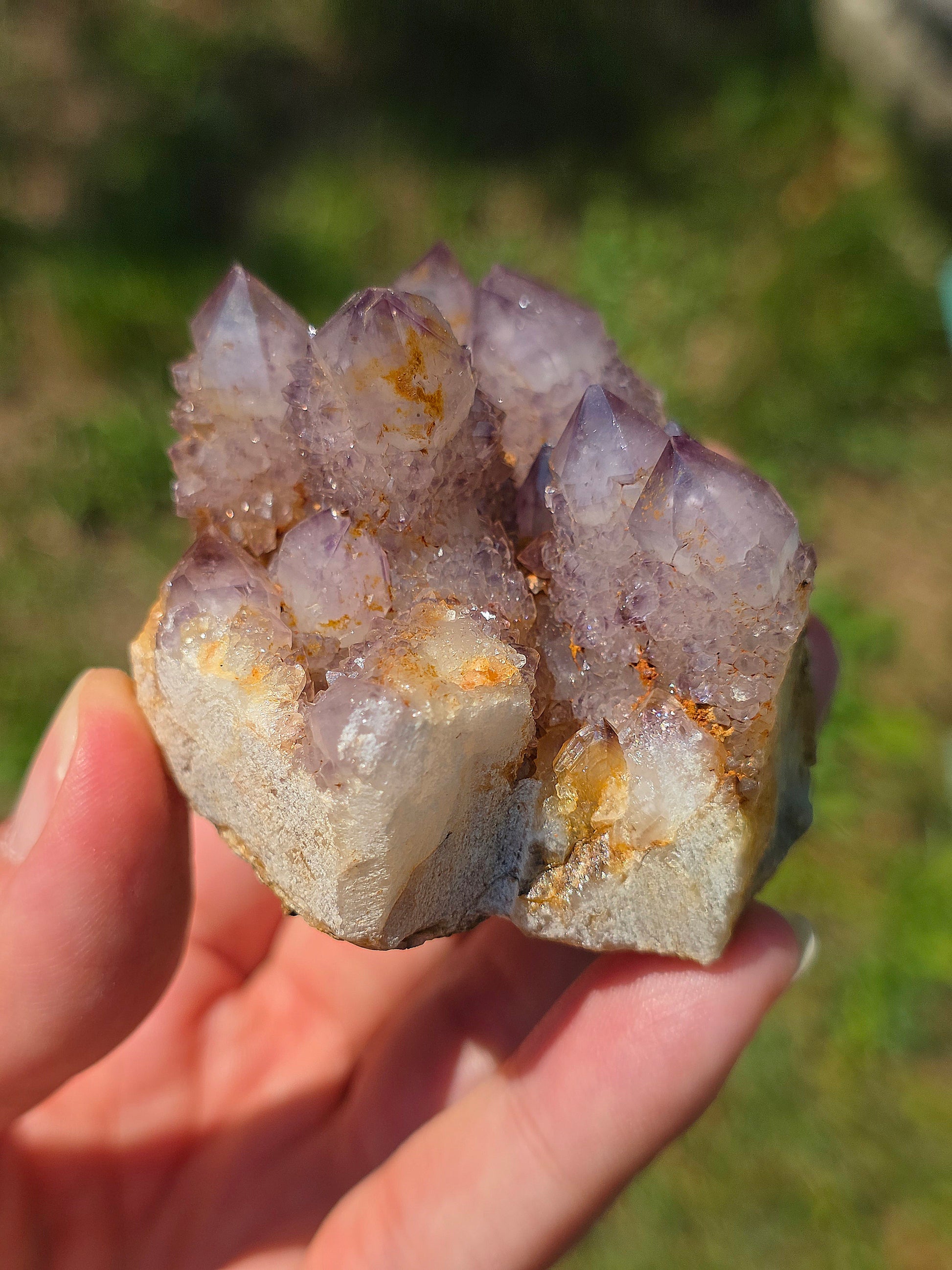 Quartz Cactus d'Afrique du Sud