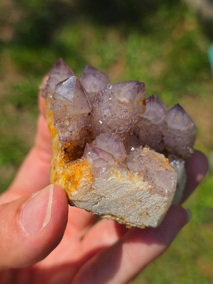 Quartz Cactus d'Afrique du Sud