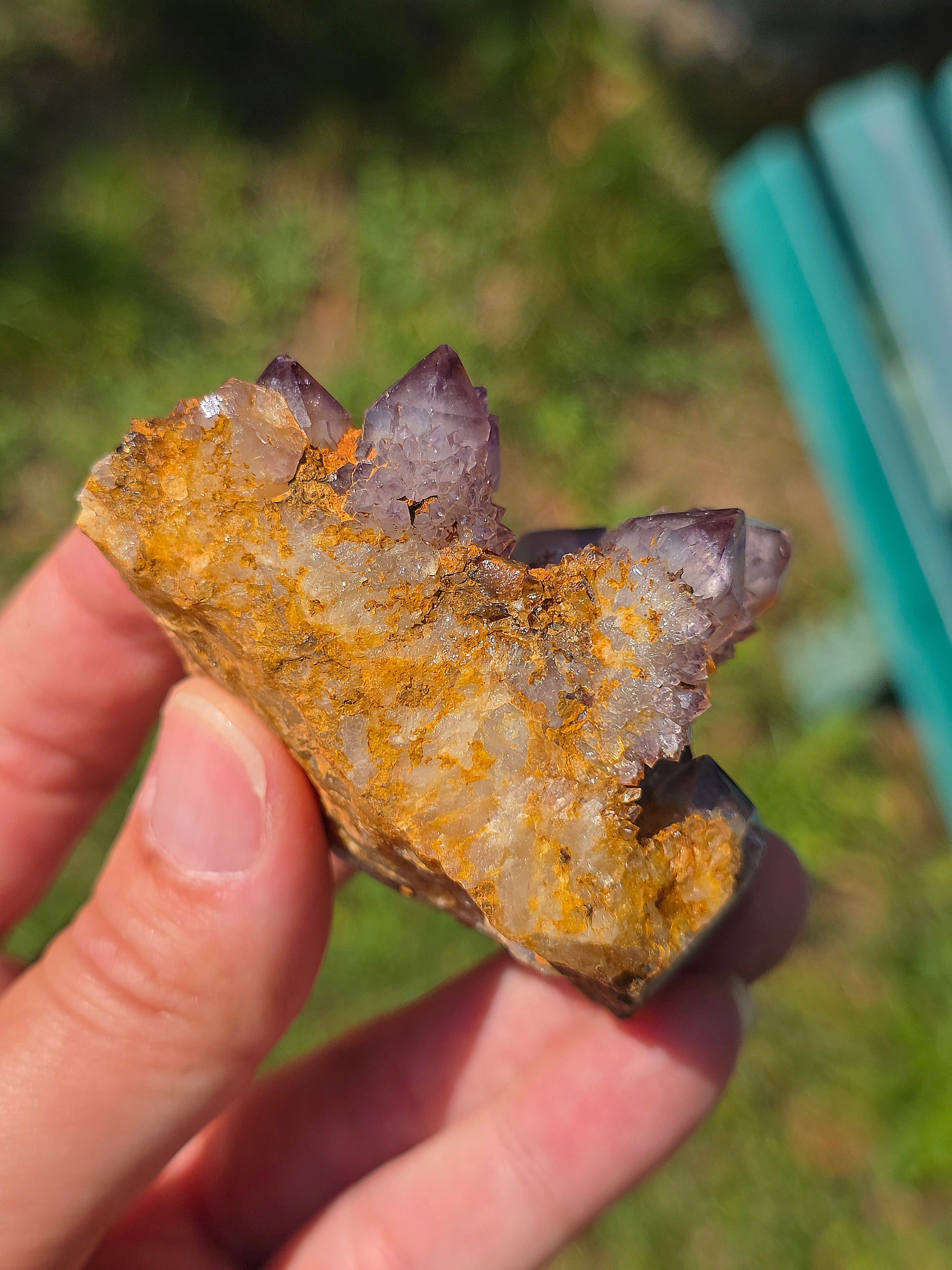 Quartz Cactus d'Afrique du Sud