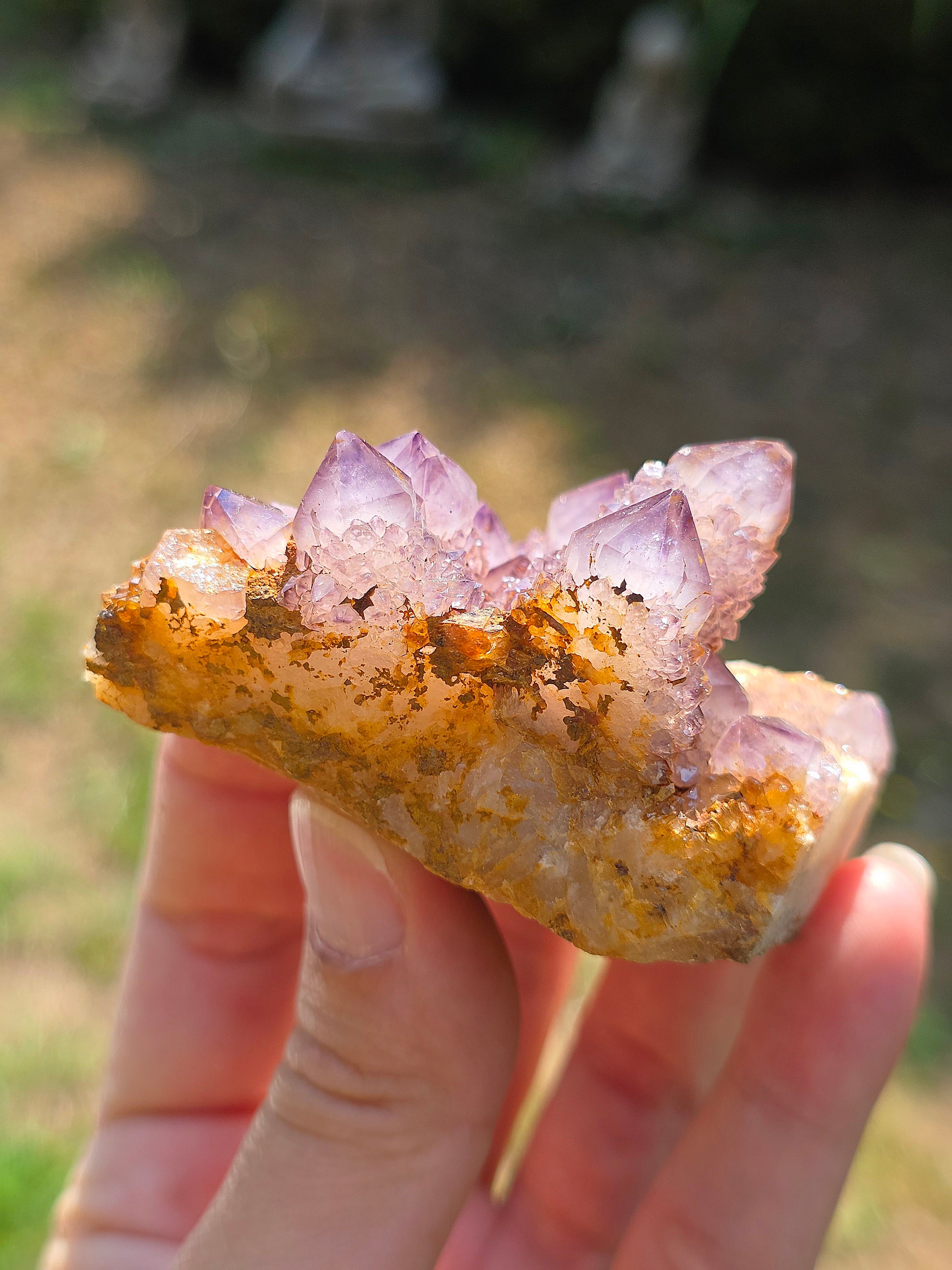Quartz Cactus d'Afrique du Sud