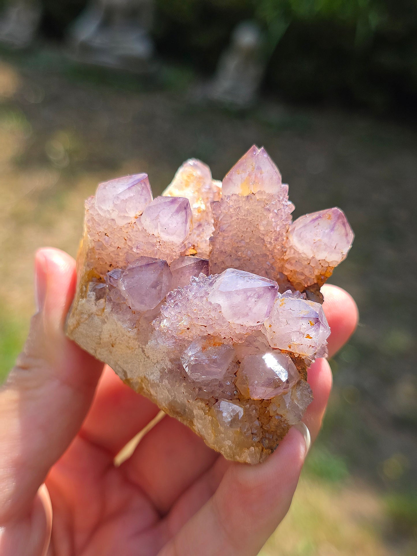 Quartz Cactus d'Afrique du Sud