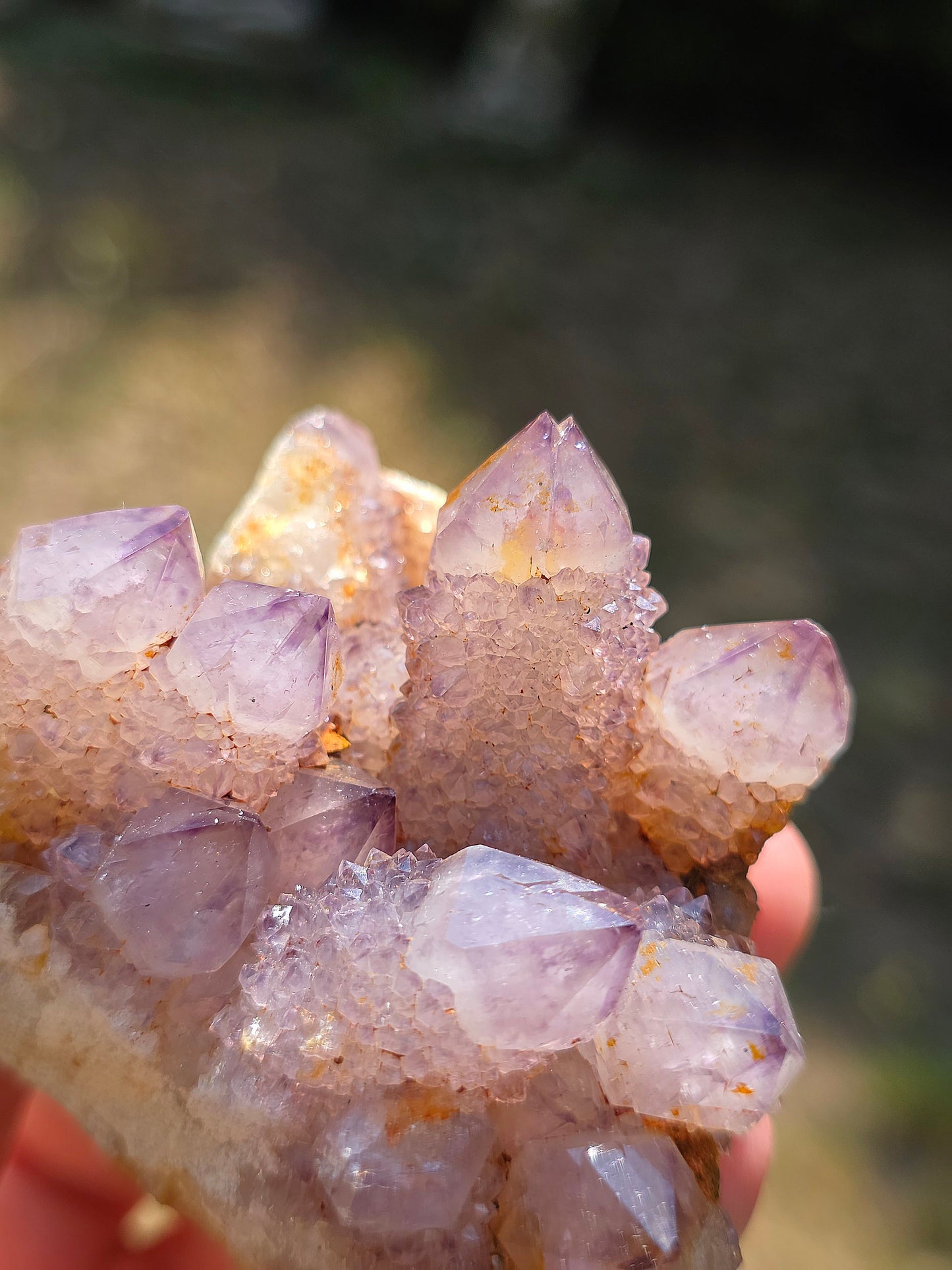 Quartz Cactus d'Afrique du Sud