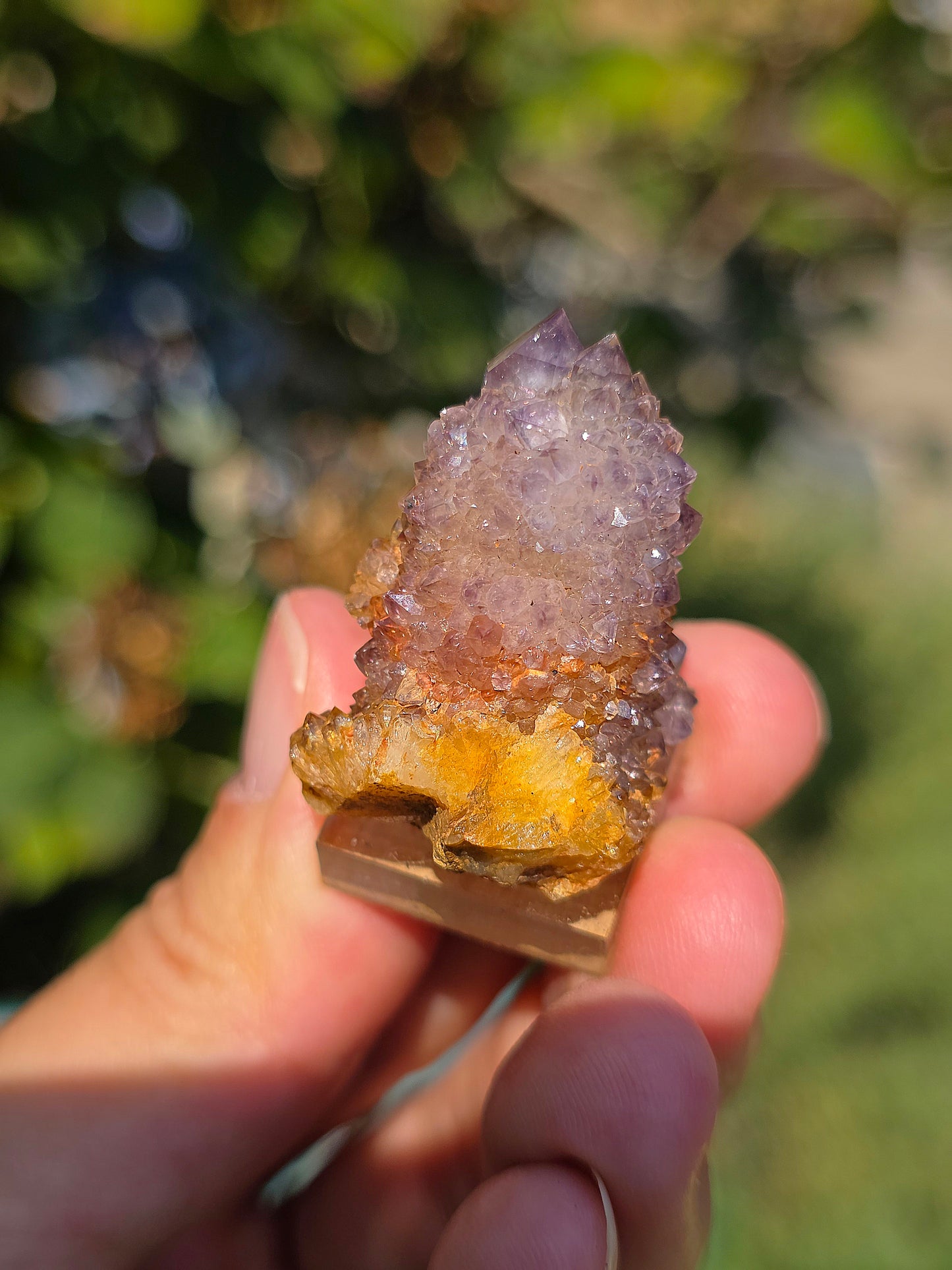 Améthyste cactus d'Afrique du sud