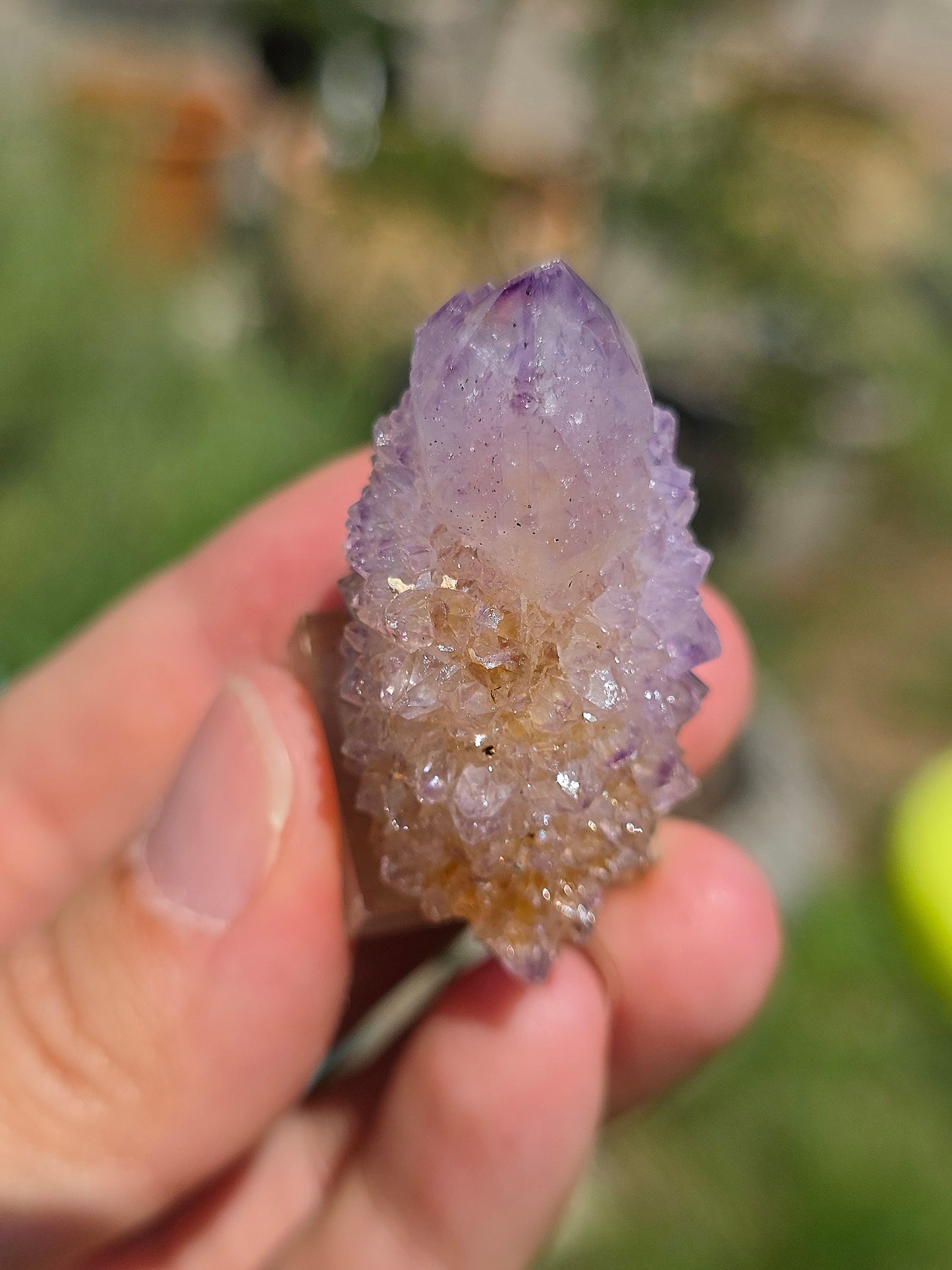 Améthyste cactus d'Afrique du sud