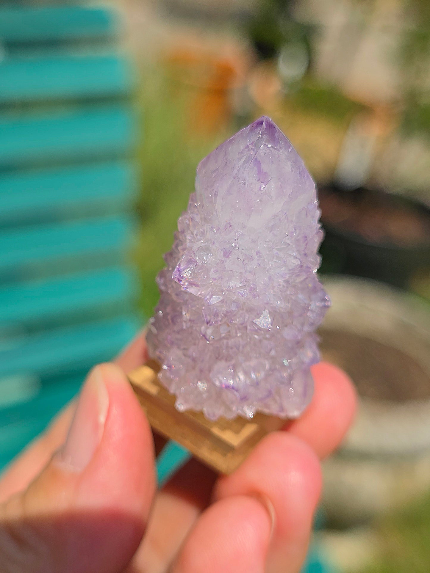 Améthyste cactus d'Afrique du sud