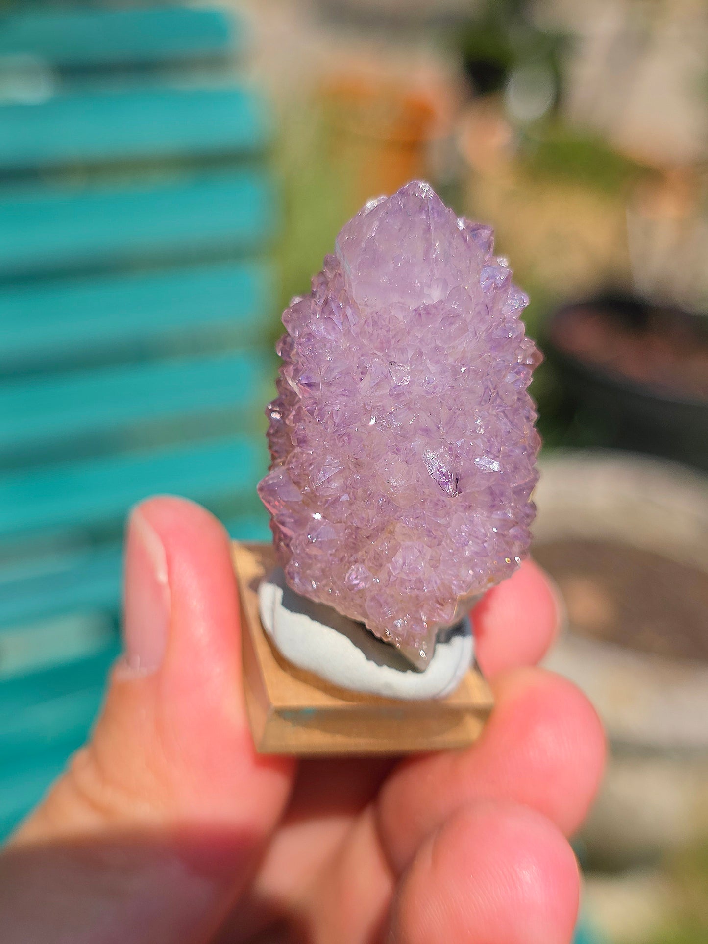 Améthyste cactus d'Afrique du sud
