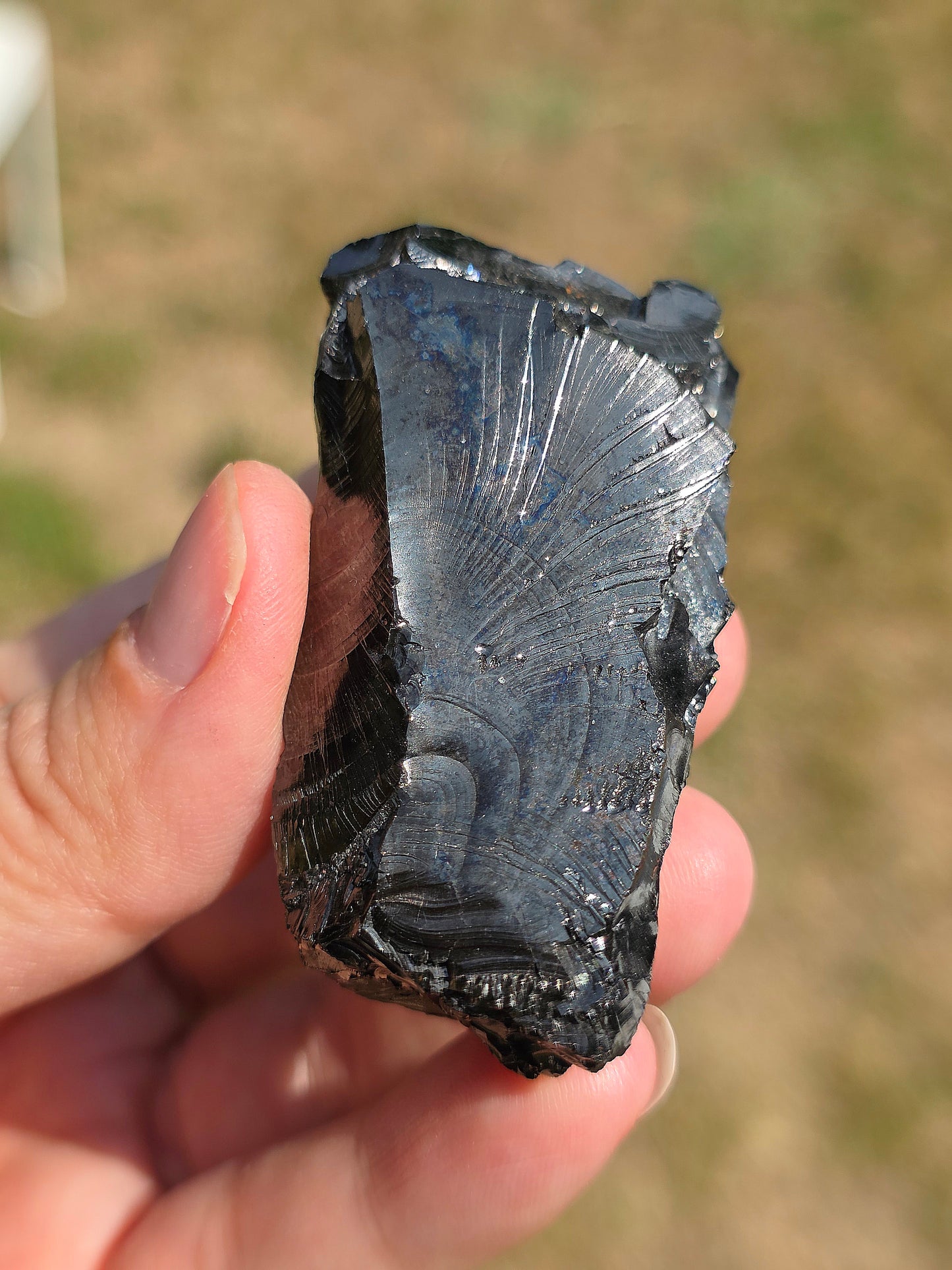 Shungite de Colombie