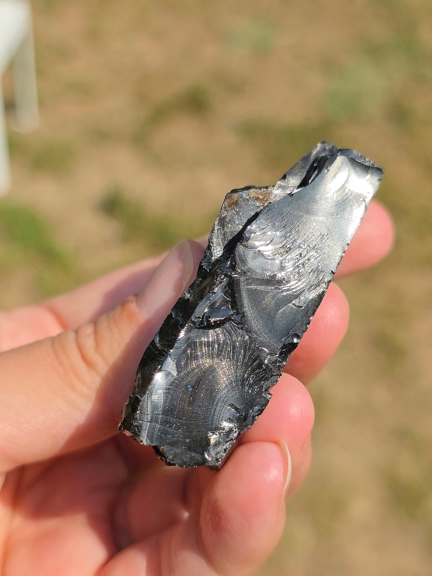 Shungite de Colombie