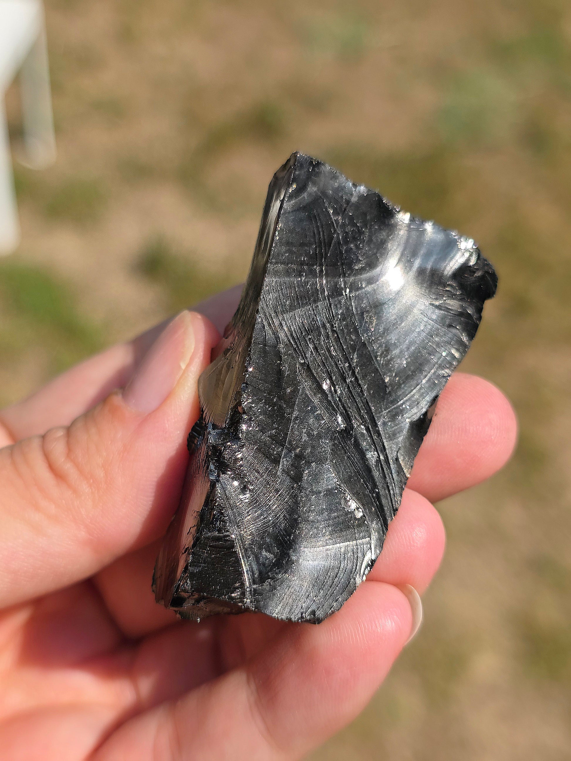 Shungite de Colombie